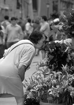 Stopping to Smell the Flowers