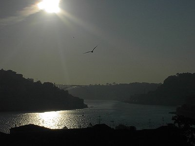 "douro river"