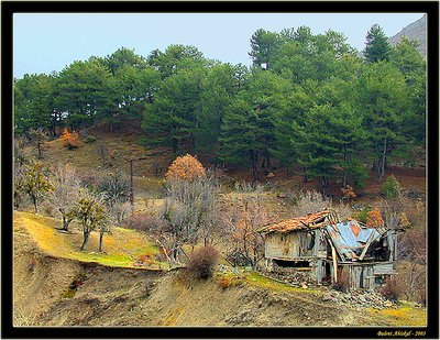 Ruined Building