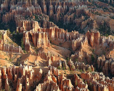 Early Morning, Bryce Canyon