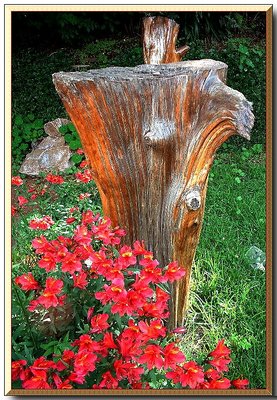 Garden decor