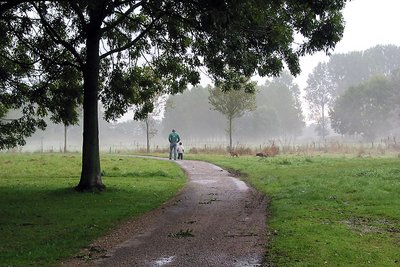 Morning walk with Daddy