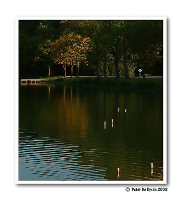 Sun reveals autumn colours !!