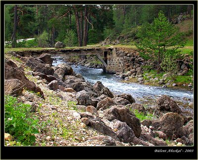 Bridge