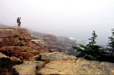 Acadia Coast