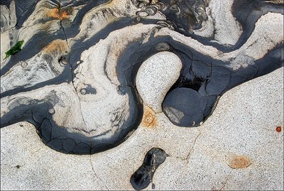 Pt Lobos Abstract Eroded Rock #38