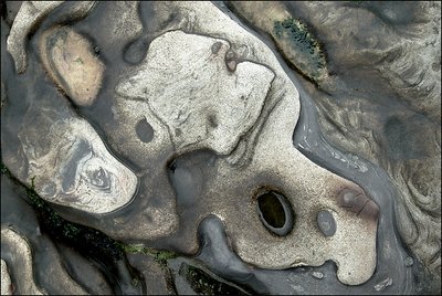 Pt Lobos Abstract Eroded Rock #359