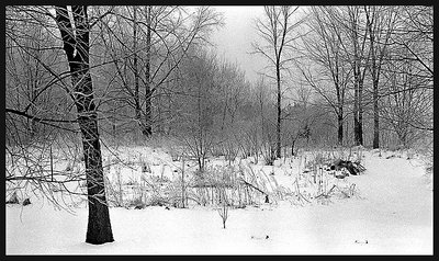 Michigan Winterscape, Circa 1992