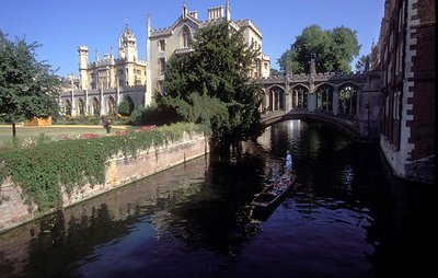 Punting on the Cam