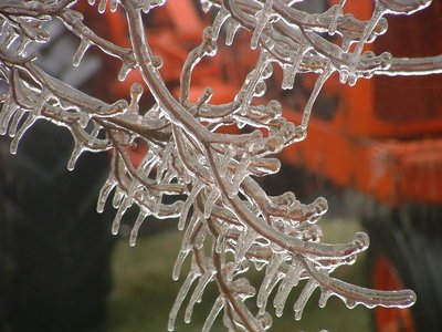 Ice Storm 2003