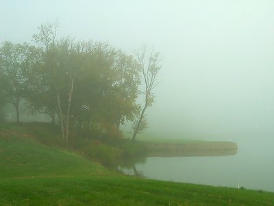 One foggy morning