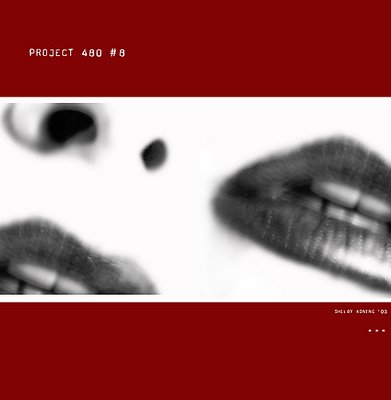 project 480 # 8