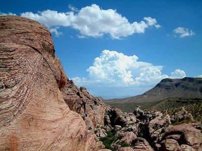 Red Rock Desert1