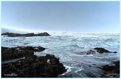 Weston's Cove, Pt. Lobos