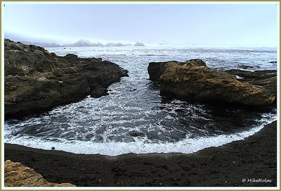 Point Lobos # 6