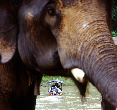 elephant and boat