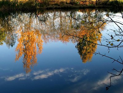 Reflections of fall