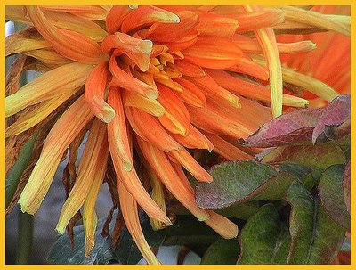 Flower and leaves.