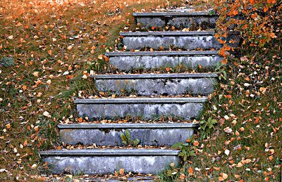 Autumn steps