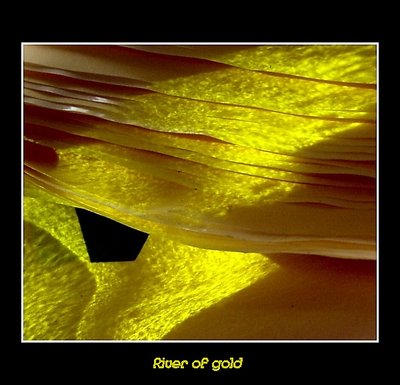 River of gold