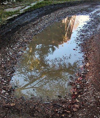 riflessi in una pozza d'acqua