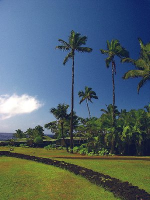 Hotel Hana Maui