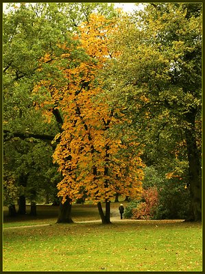 Autumn in the park