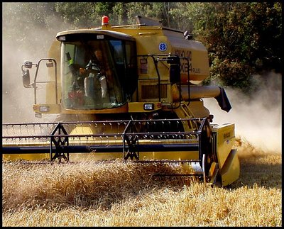 Harvest