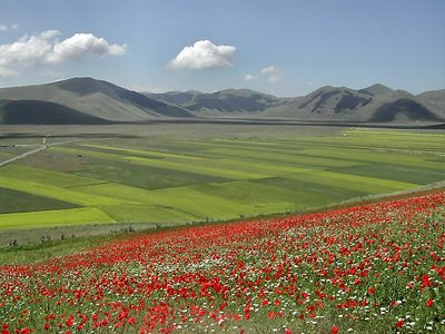 Castelluccio, "La Fiorita"