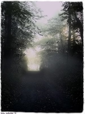 i've been in a fog