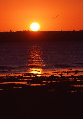 Sunrise at Rowleys Bay