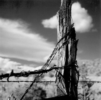 barbed wire fence