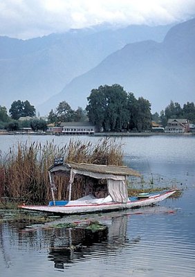 Shikara on Nagin Lake - Kashmir