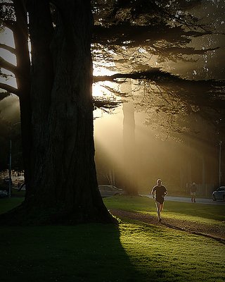Runner, Golden Gate Park S.F.
