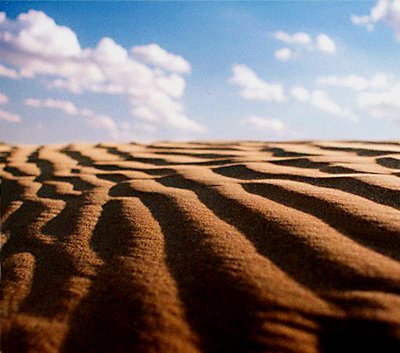 Horizon of Sand