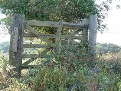 the gate with no fence