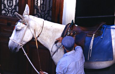 Greek man with horse