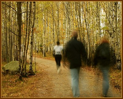 Jogging and walking in the wood