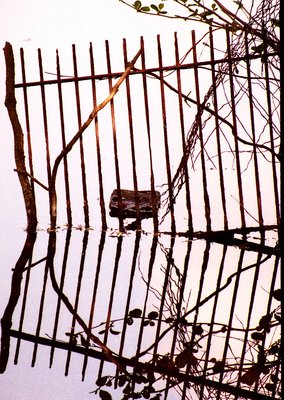 fence and its reflection