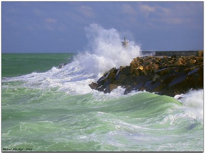 Stormy Day