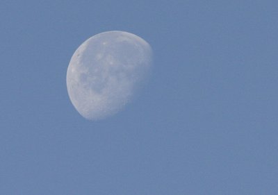 Moon at noon