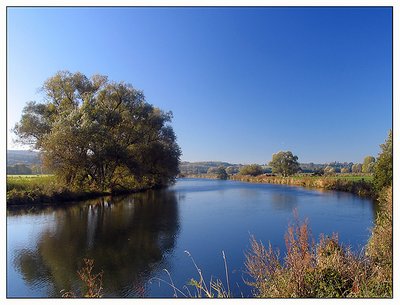 Blue morning