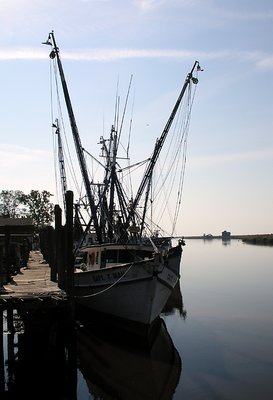 Shrimp Boat #4