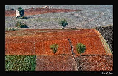 Terra di Siena # 2