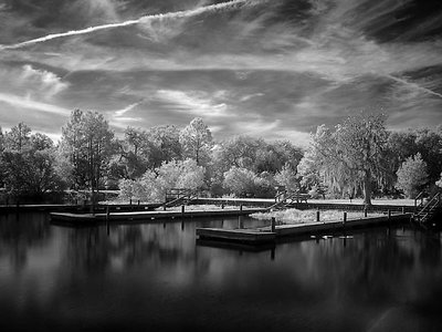 Dock on Lake Kissimmee