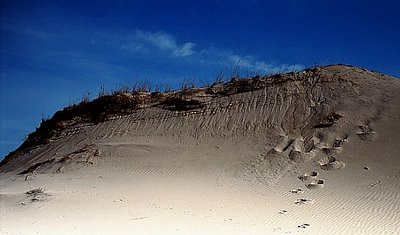 The Baltic's dune's
