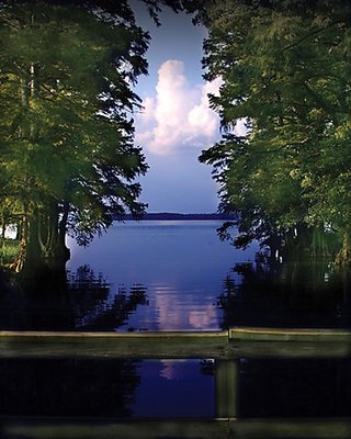 Bridge View