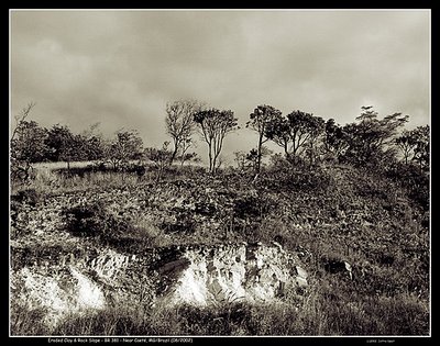 Eroded Clay and Rock Slope