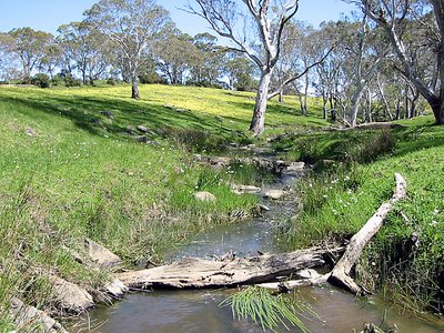 Paris Creek