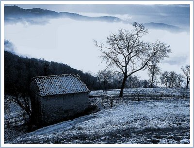 The first snow